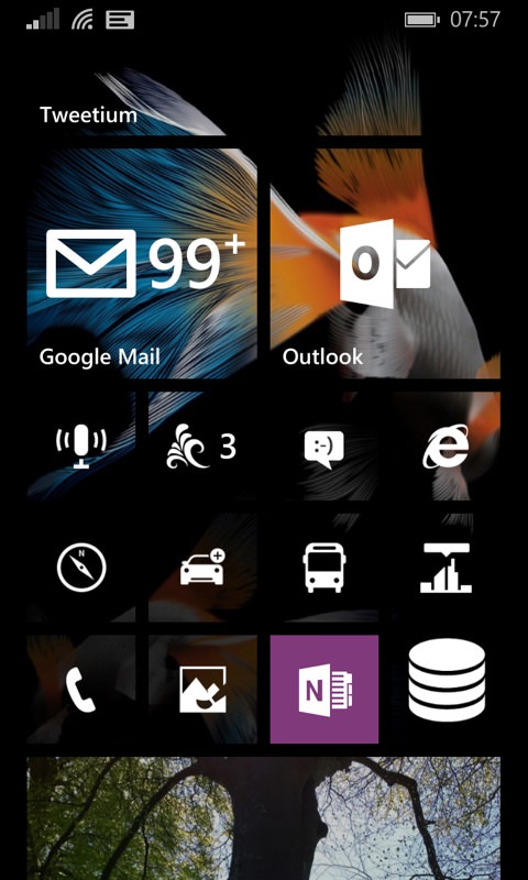 Screenshot, Windows Phone 8.1 in 2018