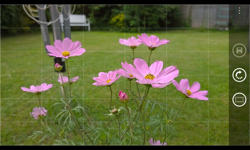 Screenshot, Lumia Camera