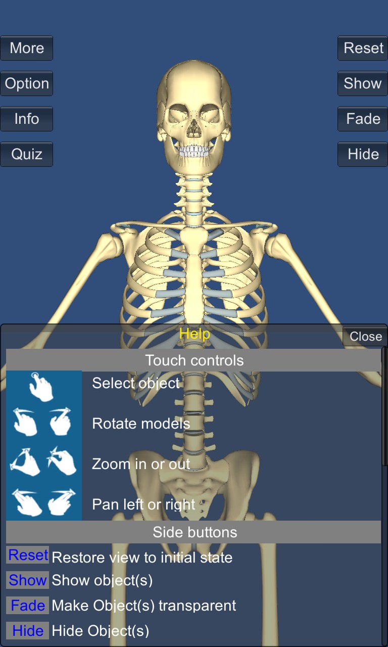 Screenshot, 3D Anatomy