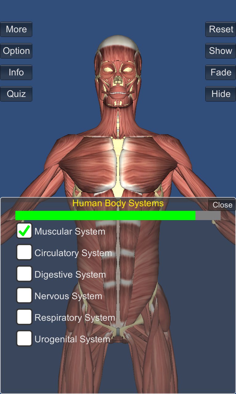 Screenshot, 3D Anatomy