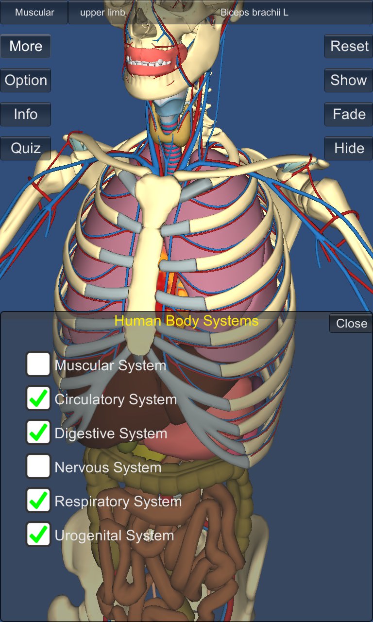 Screenshot, 3D Anatomy