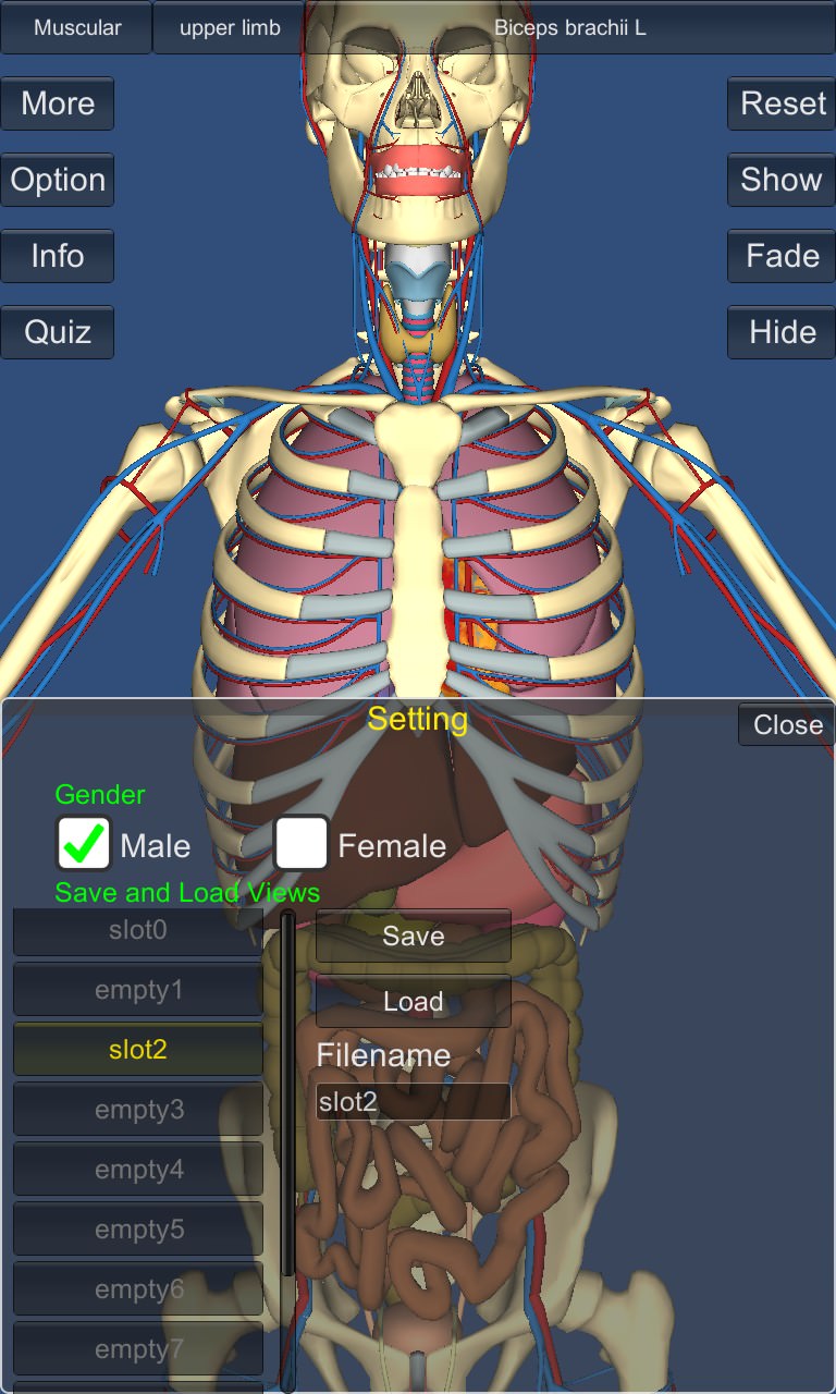 Screenshot, 3D Anatomy