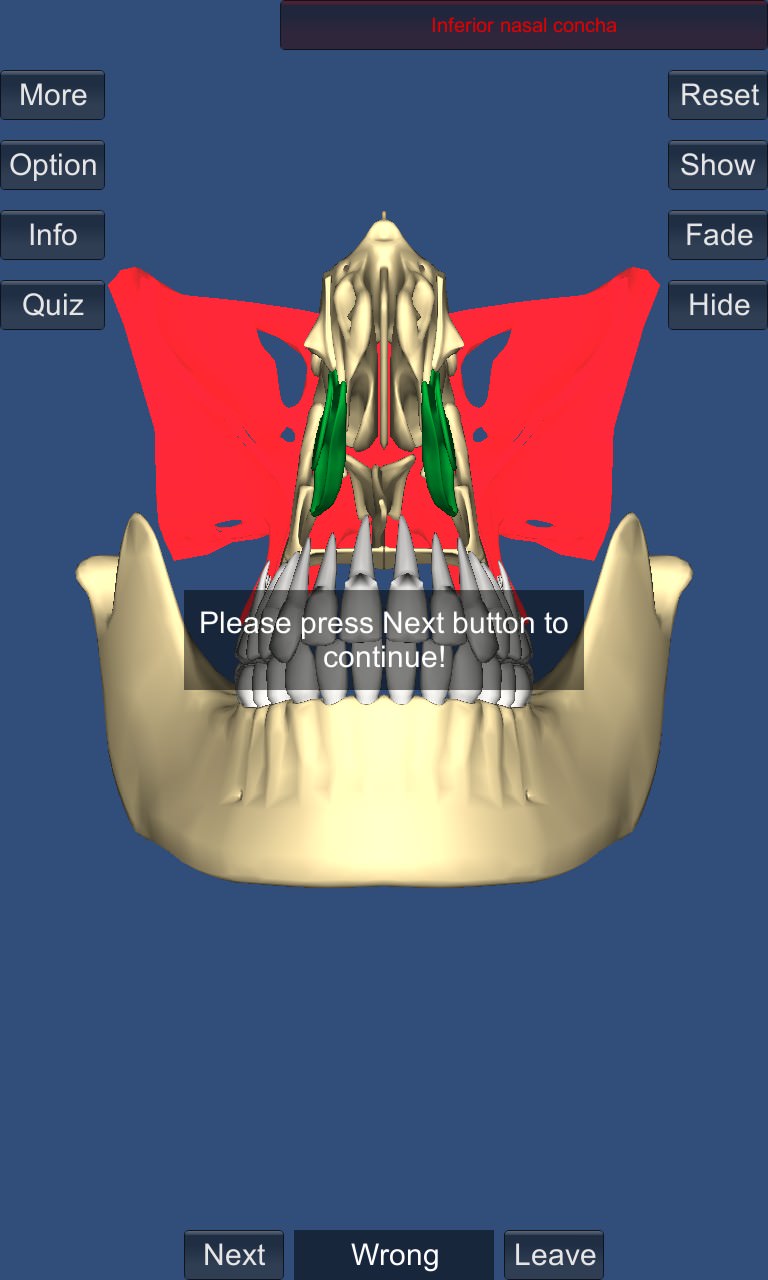 Screenshot, 3D Anatomy