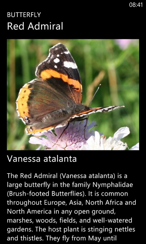 Screenshot, Butterfly Spotter