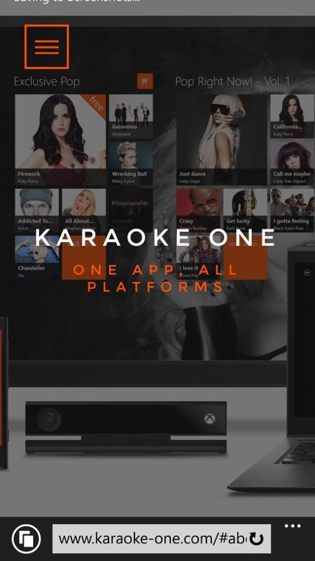 Karaoke One screenshot