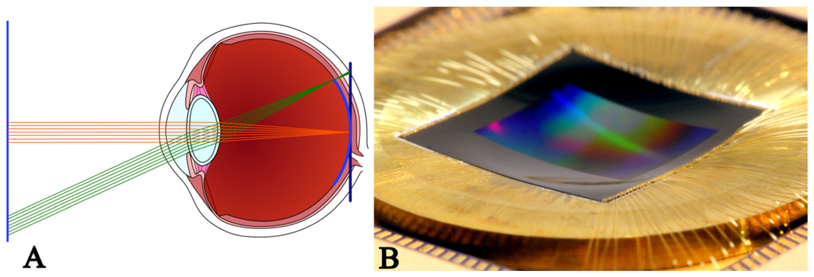 Curved sensor