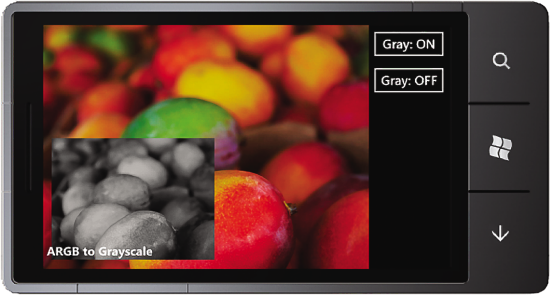 The Camera Grayscale Sample UI