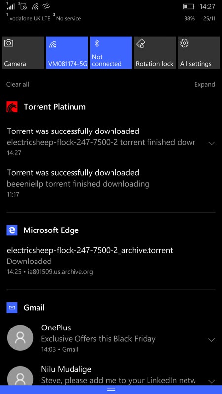 Torrent Platinum screenshot