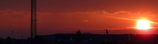 Phone mast at sunset