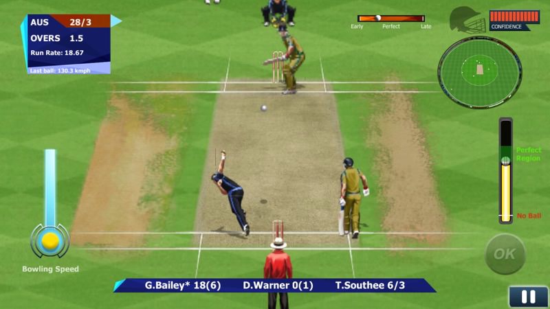 Real Cricket 15 screenshot