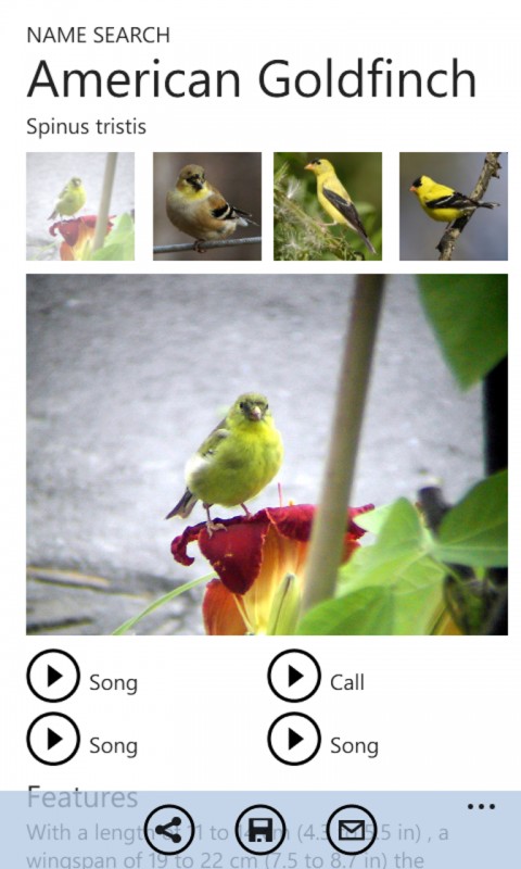 identify-birds-from-their-songs-with-twigle-shazam-for-song-birds