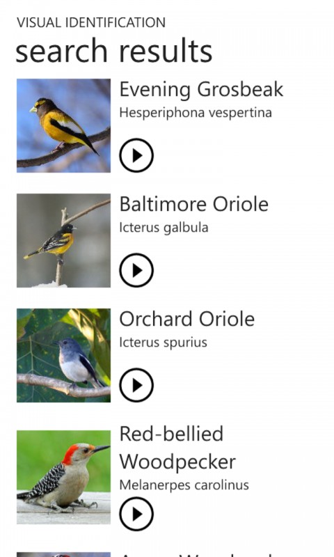 Twigle - Bird Identification